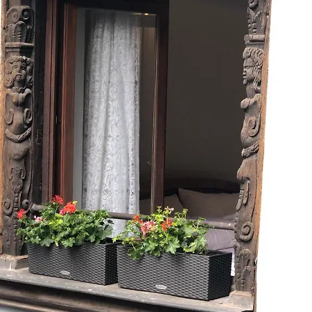Ferienwohnung Quai Des Pecheurs - Vue Cathedrale Straßburg Exterior foto